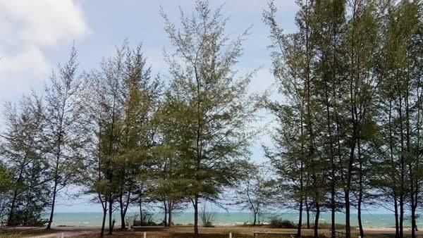 Paka Tamim Seaview Hotel Buitenkant foto
